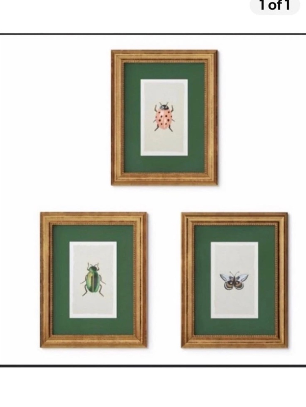 Rifle Paper Co. x Target 11"x14" Gold Foil Insect Poster Framed Wall Art Prints